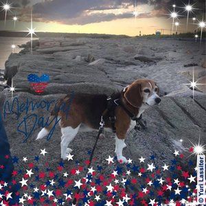 Meet your Posher, Krystle